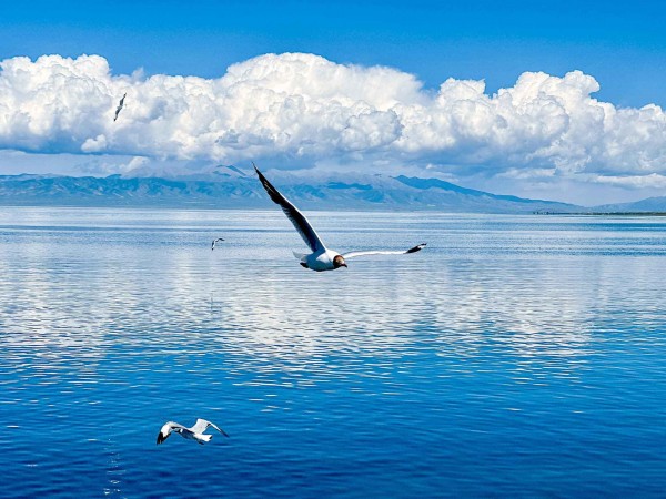 TOUR DU LỊCH ĐẠI LÝ – LỆ GIANG – SHANGRILA - NÚI TUYẾT NGỌC LONG TỪ HÀ NỘI -SÀI GÒN - NGẮM TRỌN VẺ ĐẸP CÔN MINH