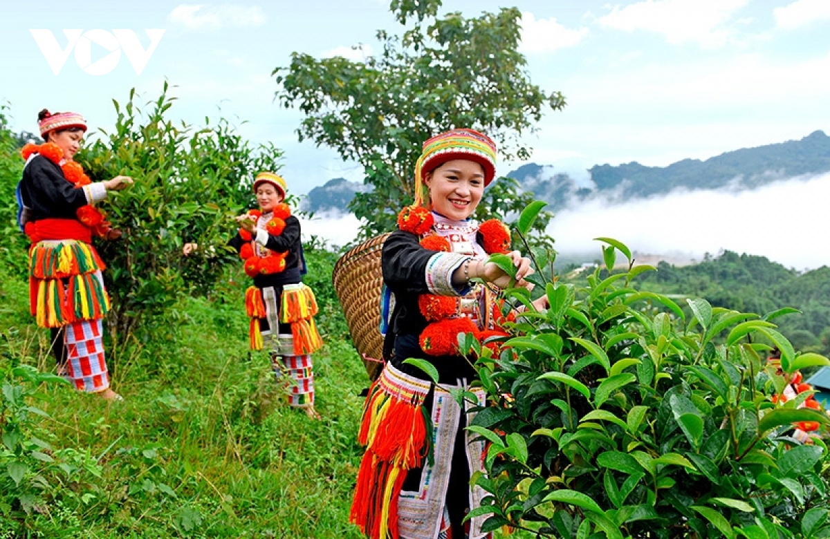 TOUR DU LỊCH TUYÊN QUANG NA HANG - HỒNG THÁI GIÁ RẺ - MÙA HOA LÊ - DU THUYỀN HỒ NA HANG - NƠI TRỜI ĐẤT GIAO HÒA