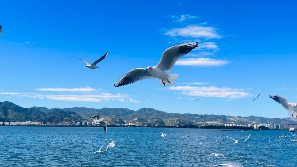 TOUR ĐƯỜNG BỘ VÂN NAM TRUNG QUỐC GIÁ RẺ HÀ NỘI - HÀ KHẨU – THẠCH LÂM – CÔN MINH – HỒ ĐIỀN TRÌ - KIỆU TỬ SƠN – KIẾN THUỶ - MÔNG TỰ 5 NGÀY 4 ĐÊM NHIỀU ĐIỂM CHECK IN MỚI LẠ ĐẶC SẮC 