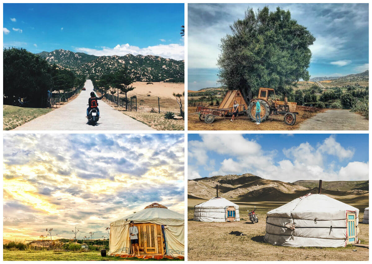 HÀ NỘI - NINH THUẬN - KHÁM PHÁ XỨ SỞ NHO, CỪU