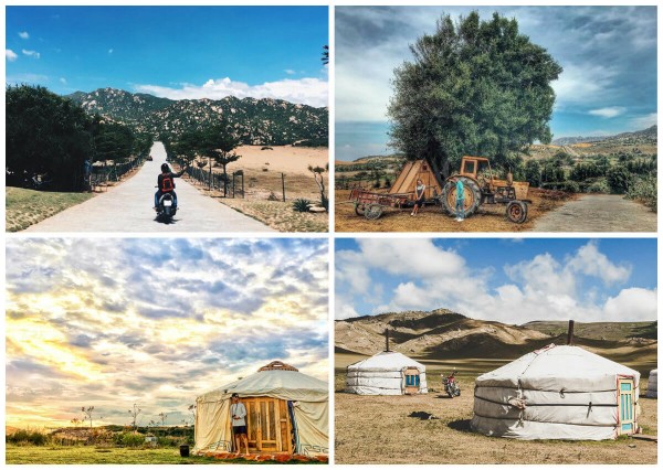 HÀ NỘI - NINH THUẬN - KHÁM PHÁ XỨ SỞ NHO, CỪU HÀ NỘI - NINH THUẬN - KHÁM PHÁ XỨ SỞ NHO, CỪU