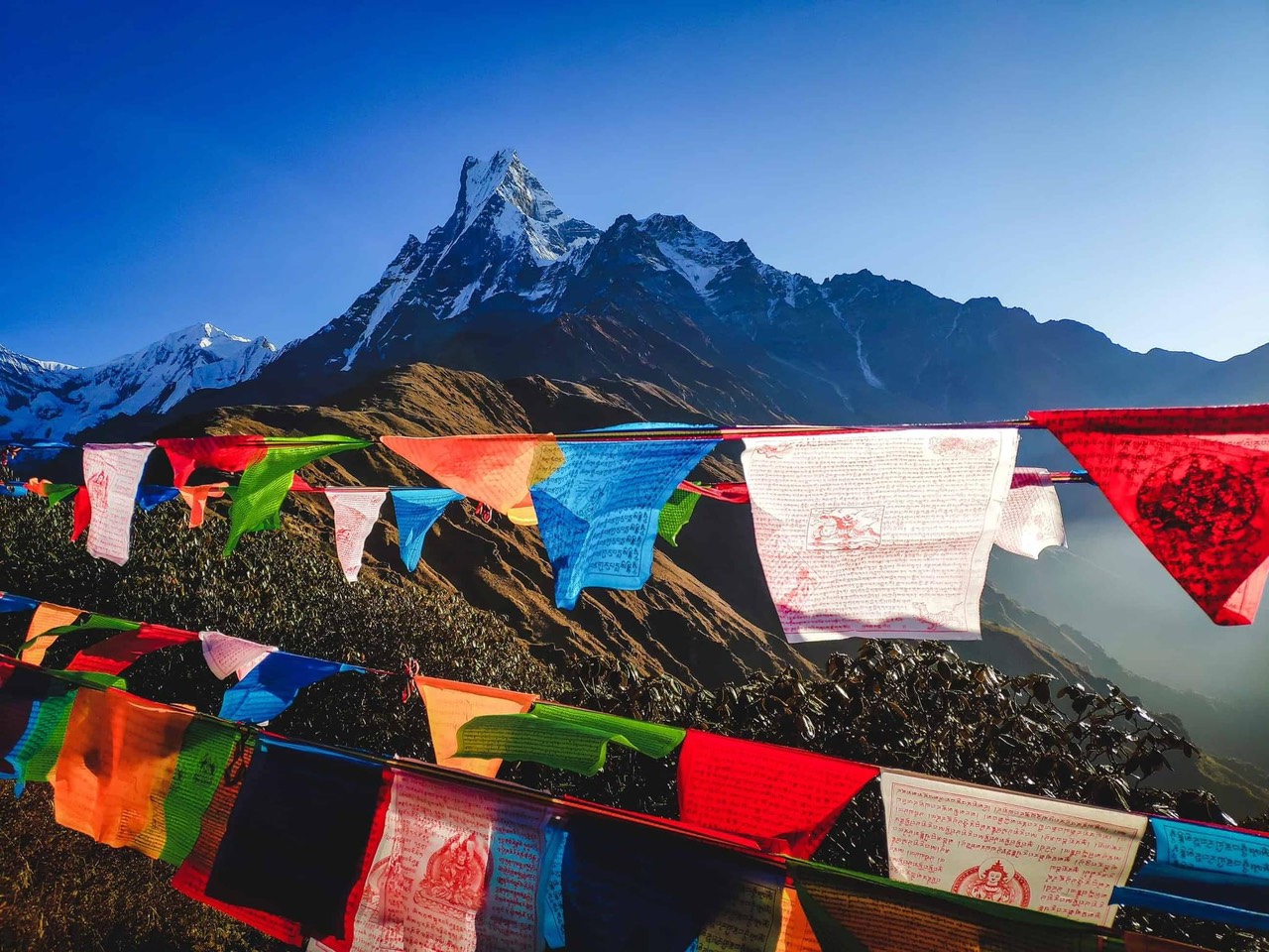 TOUR DU LỊCH TÂY TẠNG TỪ HÀ NỘI SÀI GÒN ĐÀ NẴNG GIÁ RẺ PHIÊN BẢN RÚT GỌN 6 NGÀY 5 ĐÊM