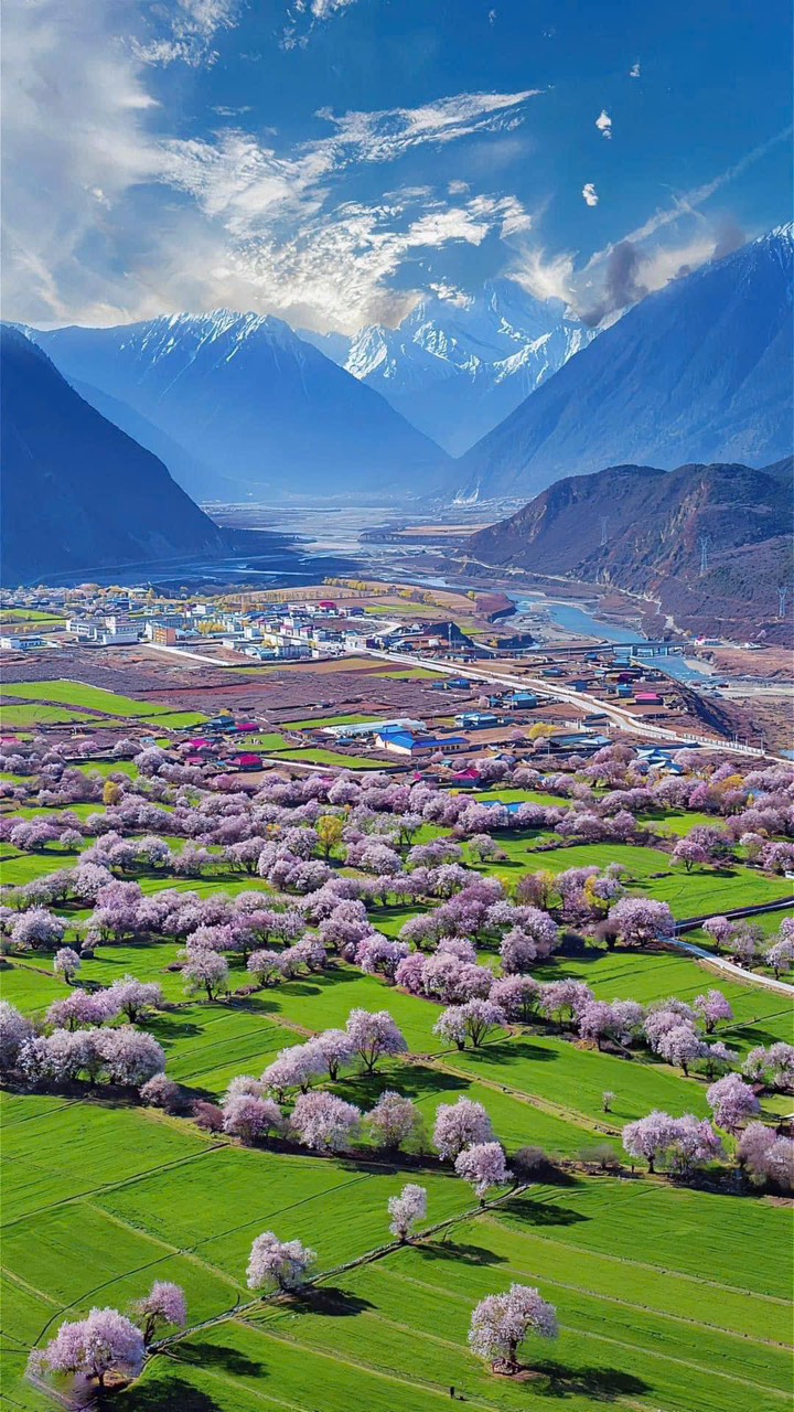 TOUR DU LỊCH 2 MIỀN NAM BẮC TÂY TẠNG MÙA HOA ANH ĐÀO 2025 BAY TỪ HÀ NỘI, TP HỒ CHÍ MINH ĐÀ NẴNG KHÁM PHÁ LÂM CHI – THÁNH HỒ BASUM TSO – POTALA CUNG – ĐẠI CHIÊU TỰ – ĐÈO YAMDROK – HỒ YAMDROK –  SÔNG BĂNG KAROLA