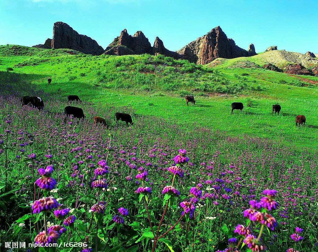 TOUR DU LỊCH HÀ NỘI - TÂN CƯƠNG - KHÁM PHÁ BỨC TRANH NHIỀU MÀU SẮC HẠ XANH THU VÀNG TÂN CƯƠNG