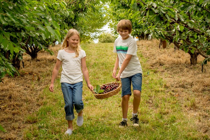 TIM HIỂU VỀ CÔNG VIỆC VÀ THU NHẬP NGƯỜI VIỆT LÀM FARM VÀ BUÔN BÁN Ở ÚC - CANADA 