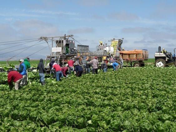 TOP MỘT SỐ NƠI DỄ TÌM VIỆC LÀM FARM TẠI BANG QUEENSLAND ÚC