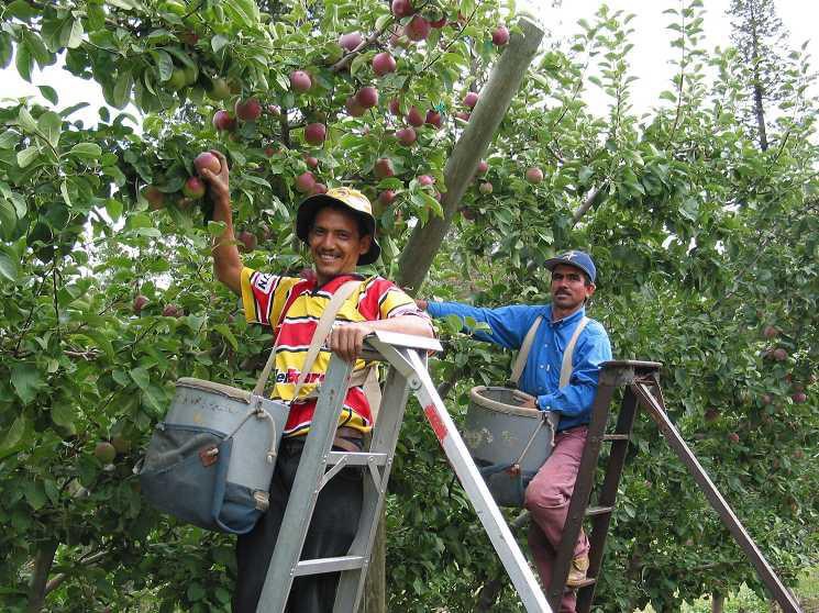TÌM HIỂU MỘT SỐ NƠI TỐT NHẤT HIỆN NAY TÌM KIẾM VIỆC LÀM FARM TẠI ÚC NEWZEALAND BA LAN CANADA